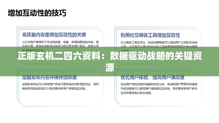 正版玄机二四六资料：数据驱动战略的关键资源