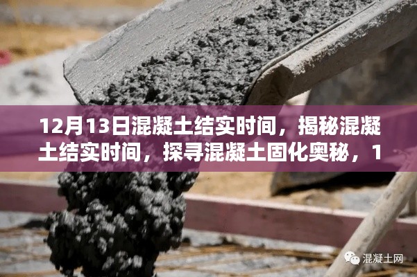 不翼而飞 第4页