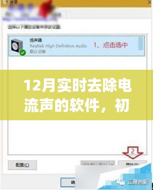 最新实时去除电流声软件详解，适用于初学者与进阶用户的12月指南