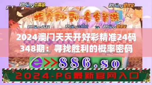 2024澳门天天开好彩精准24码348期：寻找胜利的概率密码