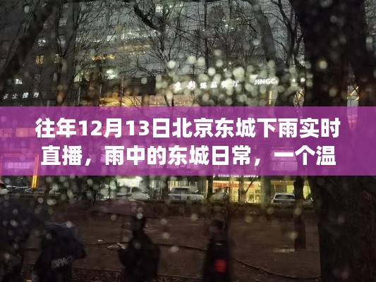 往年12月13日北京东城雨景实时直播，雨中的温馨日常