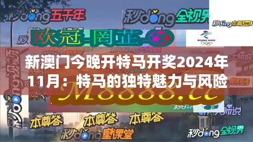 新澳门今晚开特马开奖2024年11月：特马的独特魅力与风险把控
