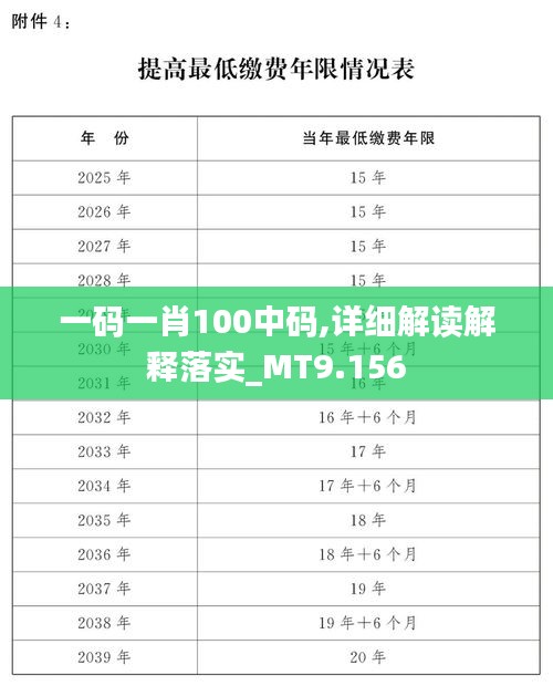 一码一肖100中码,详细解读解释落实_MT9.156