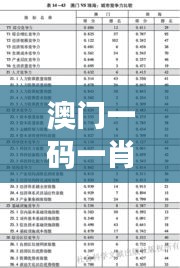 澳门一码一肖一特一中是合法的吗？洞察其在博彩行业中的竞争力