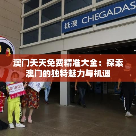 澳门天天免费精准大全：探索澳门的独特魅力与机遇