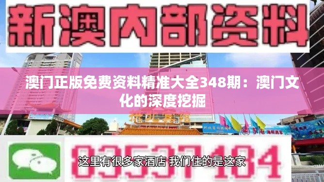 澳门正版免费资料精准大全348期：澳门文化的深度挖掘