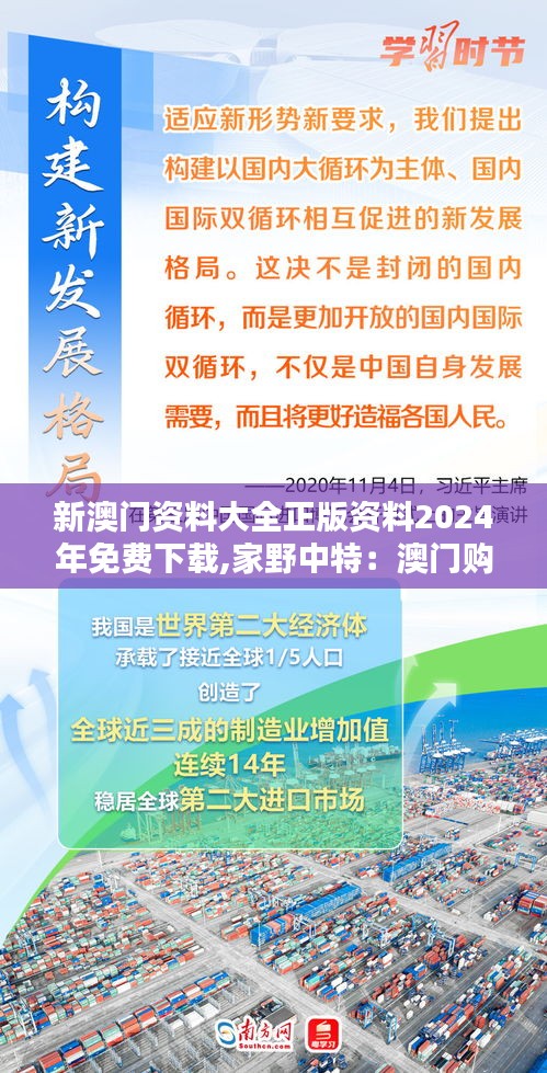 新澳门资料大全正版资料2024年免费下载,家野中特：澳门购物攻略与指南