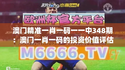 澳门精准一肖一码一一中348期：澳门一肖一码的投资价值评估