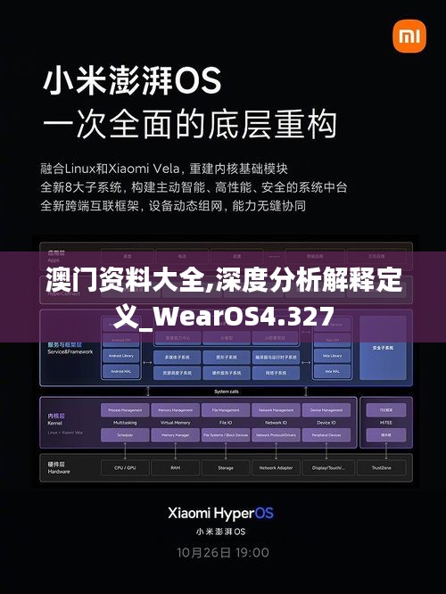 澳门资料大全,深度分析解释定义_WearOS4.327