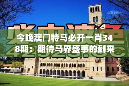 今晚澳门特马必开一肖348期：期待马界盛事的到来