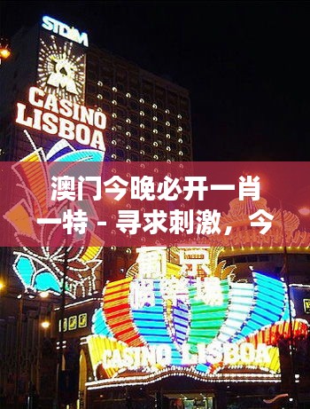澳门今晚必开一肖一特 - 寻求刺激，今夜澳门的神秘魅力！