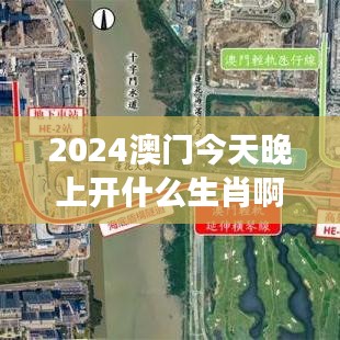 鸷鸟不群 第4页