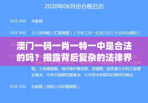 澳门一码一肖一特一中是合法的吗？揭露背后复杂的法律界限