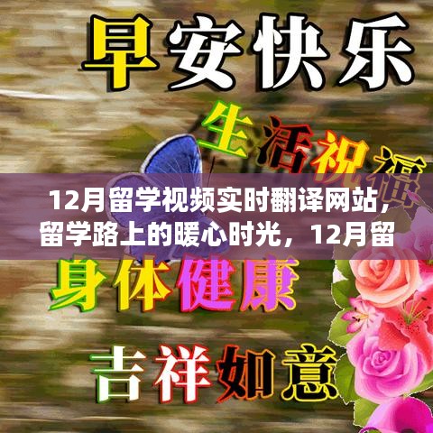 留学路上的暖心时光，12月留学视频实时翻译网站温馨日常