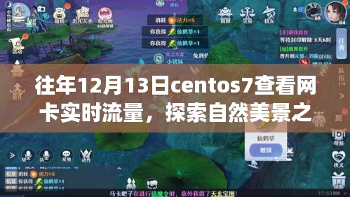 CentOS 7网卡实时流量监控与自然美景探索，寻求网络与网络美景的和谐之旅