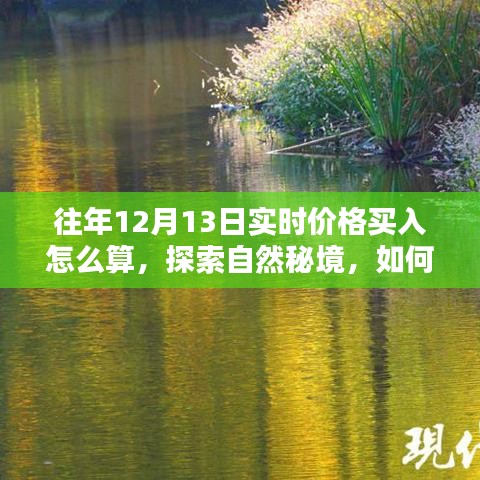 探索自然秘境，如何在12月13日找到内心的宁静与财富增值之路——实时价格买入策略解析