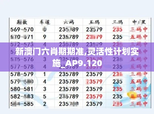 新澳门六肖期期准,灵活性计划实施_AP9.120