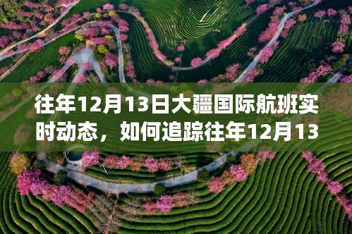 往年12月13日大疆国际航班实时动态追踪指南，详细步骤带你掌握航班动态追踪技巧！