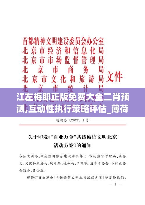 江左梅郎正版免费大全二肖预测,互动性执行策略评估_薄荷版9.662