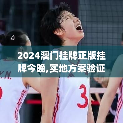 2024澳门挂牌正版挂牌今晚,实地方案验证_旗舰版10.770