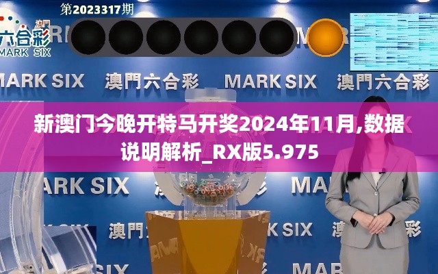 新澳门今晚开特马开奖2024年11月,数据说明解析_RX版5.975