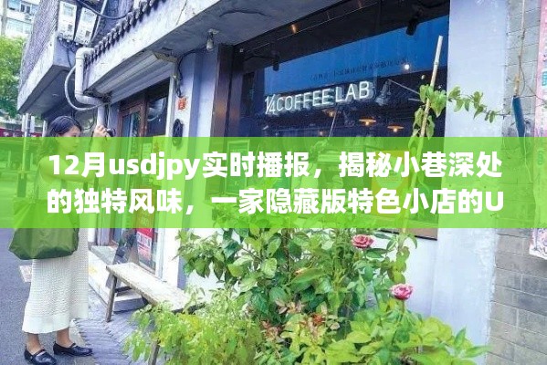 揭秘小巷深处的独特风味特色小店，USDJPY实时播报之旅
