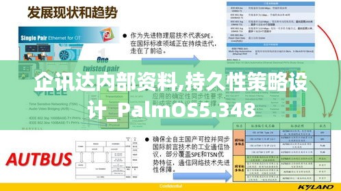 企讯达内部资料,持久性策略设计_PalmOS5.348