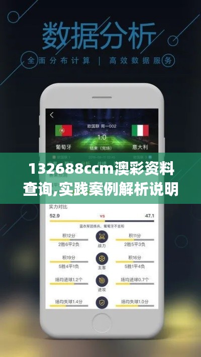 132688ccm澳彩资料查询,实践案例解析说明_9DM3.375