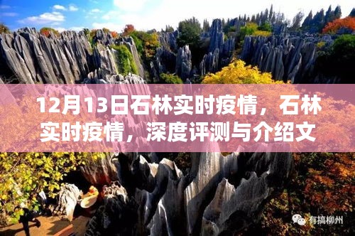 石林实时疫情深度解析与最新动态报道