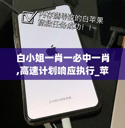 白小姐一肖一必中一肖,高速计划响应执行_苹果款14.171