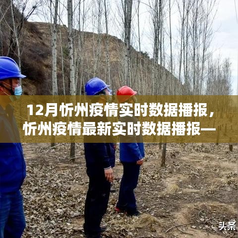 忻州疫情最新实时数据播报与疫情现状深度解析
