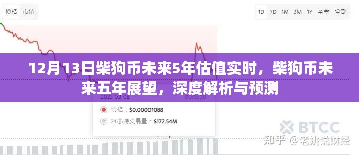 柴狗币未来五年展望，深度解析与预测，实时估值展望（至XXXX年）