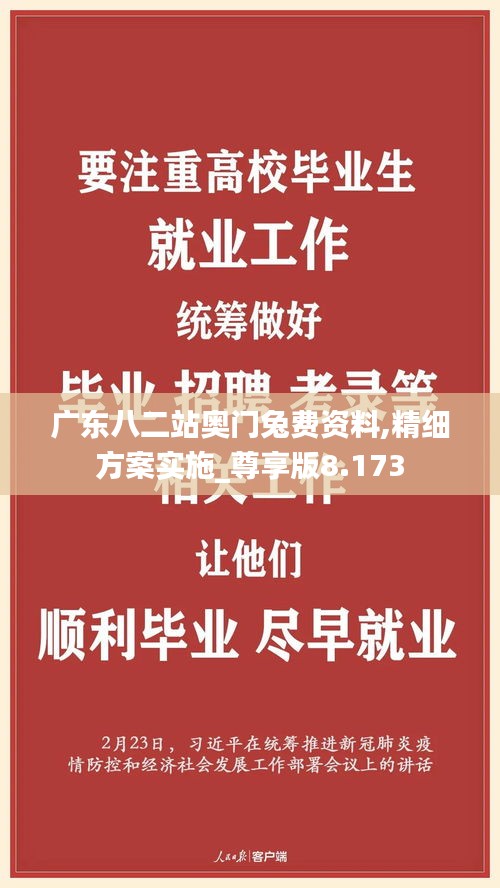 广东八二站奥门兔费资料,精细方案实施_尊享版8.173