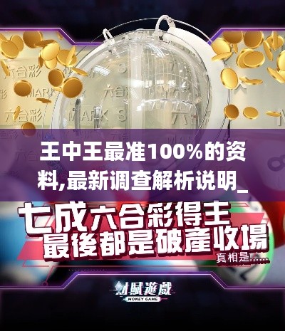 王中王最准100%的资料,最新调查解析说明_创新版9.789