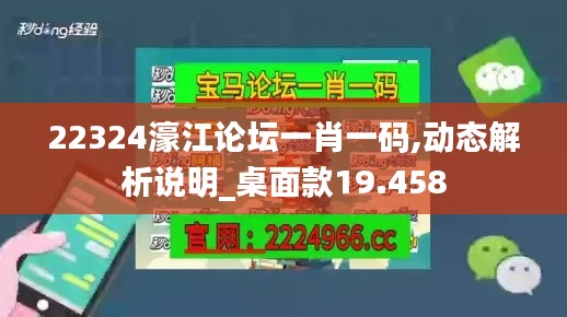22324濠江论坛一肖一码,动态解析说明_桌面款19.458
