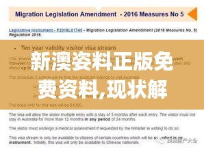 新澳姿料正版免费资料,现状解答解释定义_LT5.102
