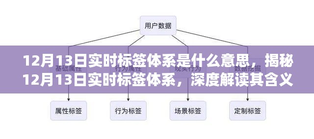 揭秘，12月13日实时标签体系的深度解读与应用含义