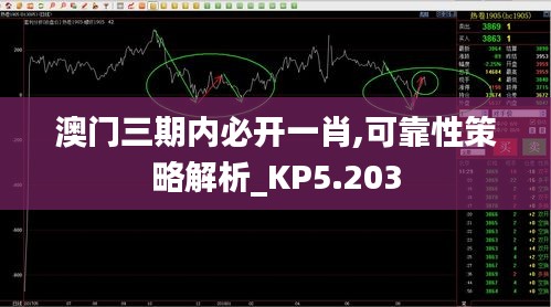 澳门三期内必开一肖,可靠性策略解析_KP5.203