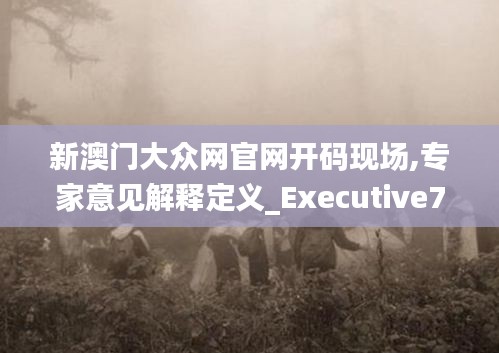 新澳门大众网官网开码现场,专家意见解释定义_Executive7.115