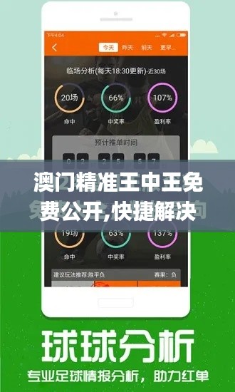 澳门精准王中王免费公开,快捷解决方案问题_基础版10.399