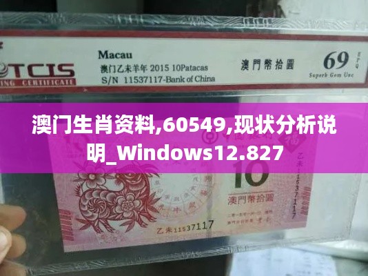 澳门生肖资料,60549,现状分析说明_Windows12.827