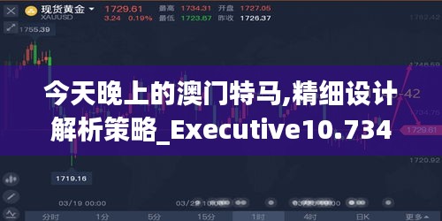 今天晚上的澳门特马,精细设计解析策略_Executive10.734