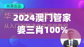 2024澳门管家婆三肖100%,实地数据评估执行_NE版6.558