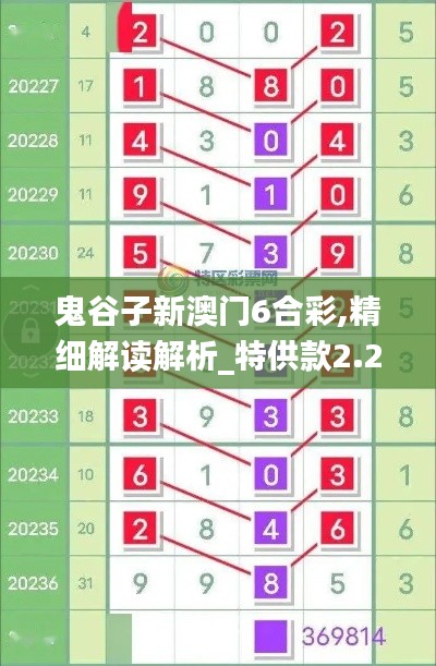 鬼谷子新澳门6合彩,精细解读解析_特供款2.256
