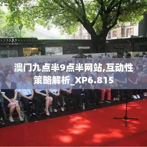 澳门九点半9点半网站,互动性策略解析_XP6.815
