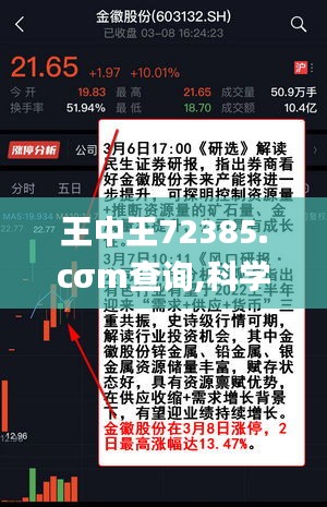 王中王72385.cσm查询,科学分析解释定义_冒险款7.376