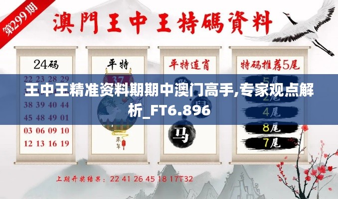 王中王精准资料期期中澳门高手,专家观点解析_FT6.896