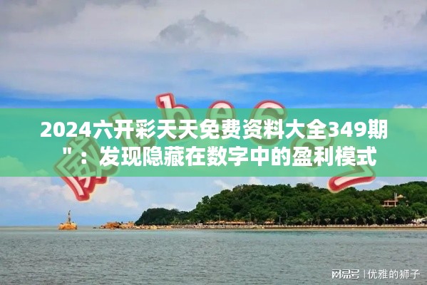 2024六开彩天天免费资料大全349期＂：发现隐藏在数字中的盈利模式