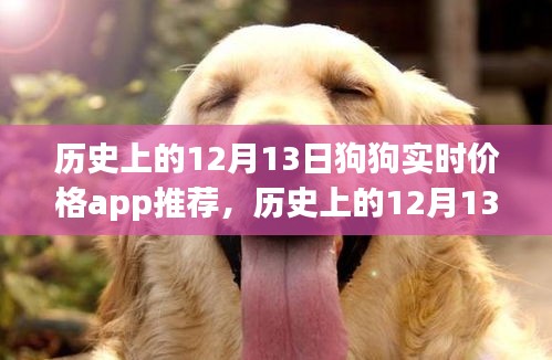 历史上的12月13日，狗狗实时价格App的诞生及其影响