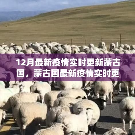 蒙古国最新疫情实时更新系统深度评测与报告分析